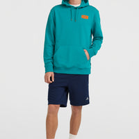 Graphic Hoodie | Island Breeze