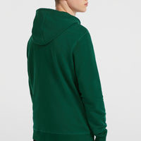 Small Logo Full-Zip Hoodie | Emerald Envy