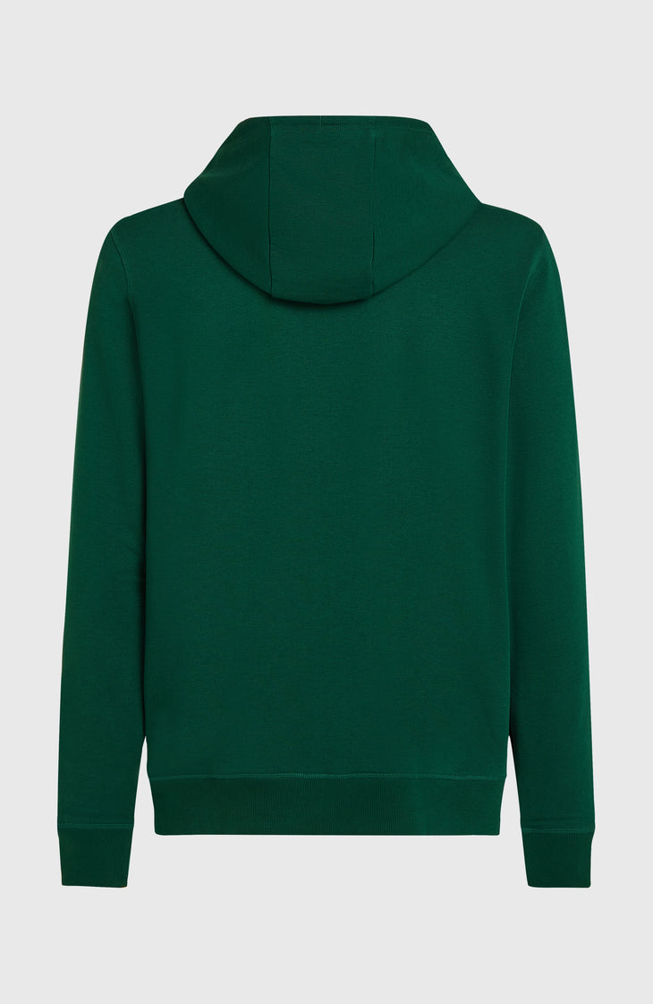 Small Logo Full-Zip Hoodie | Emerald Envy