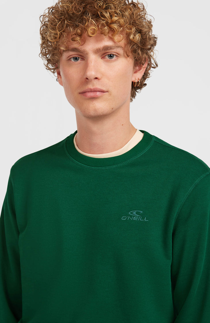 Small Logo Crew Sweatshirt | Emerald Envy