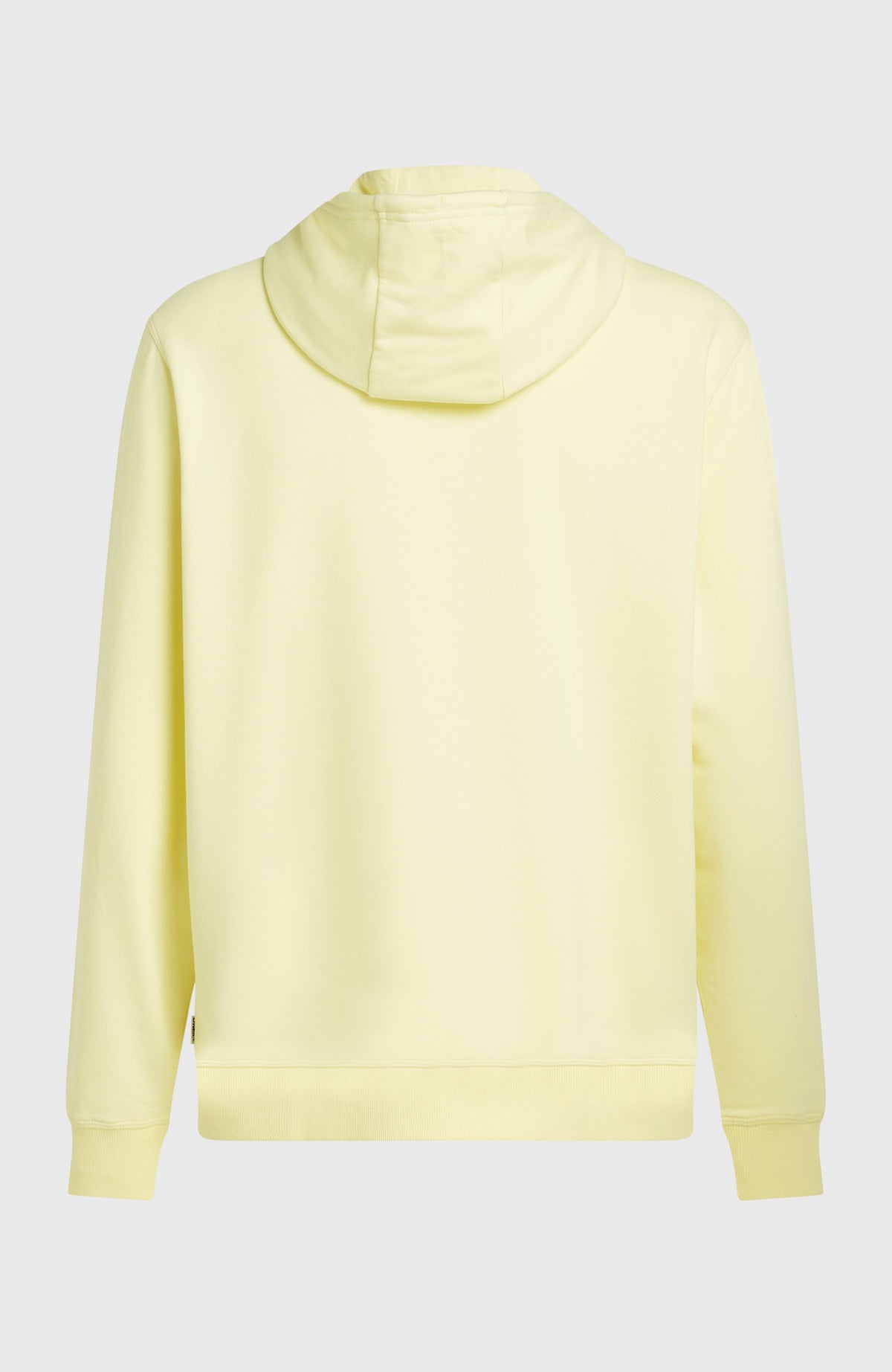 O'Neill Must-Have Graphic Hoodie | Rainforest Dew