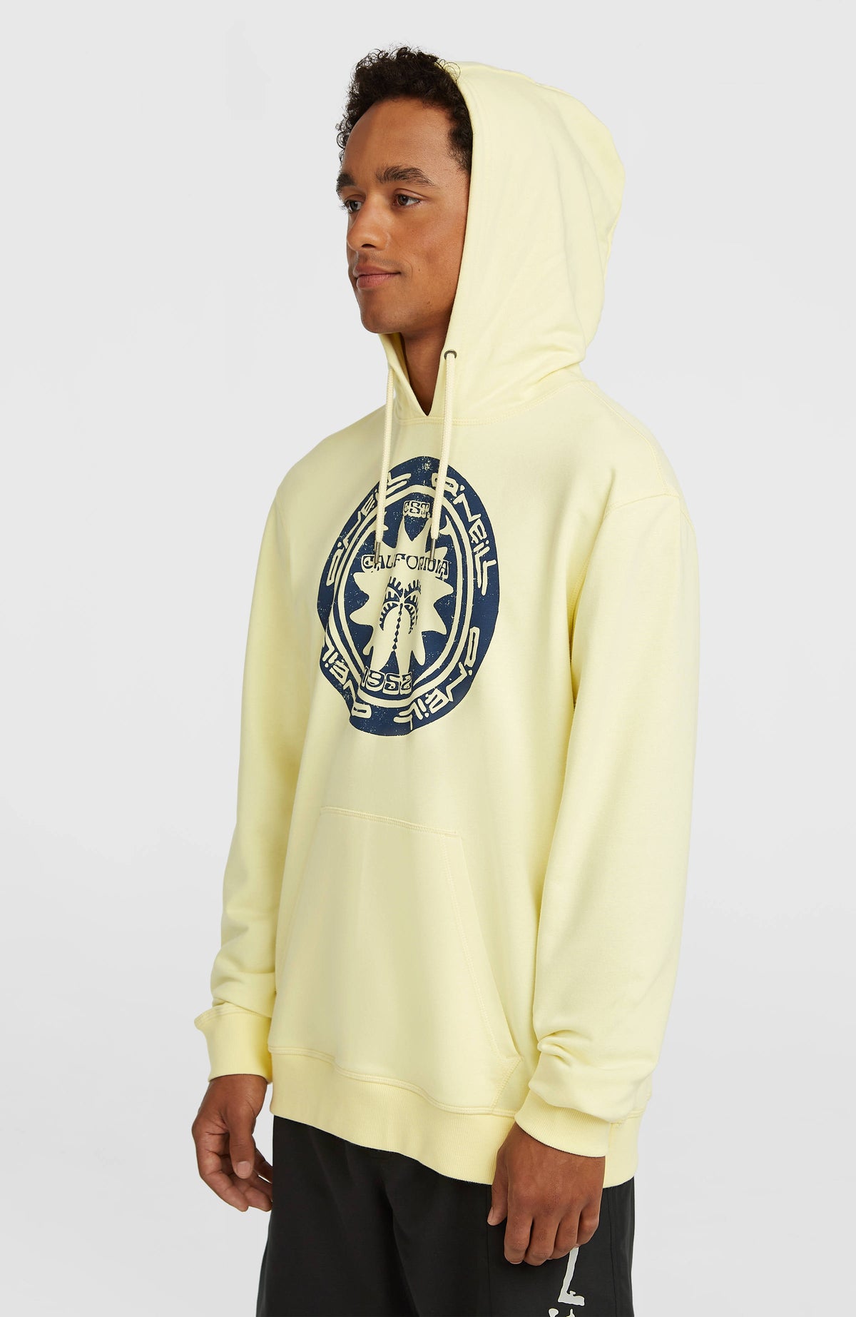 O'Neill Must-Have Graphic Hoodie | Rainforest Dew