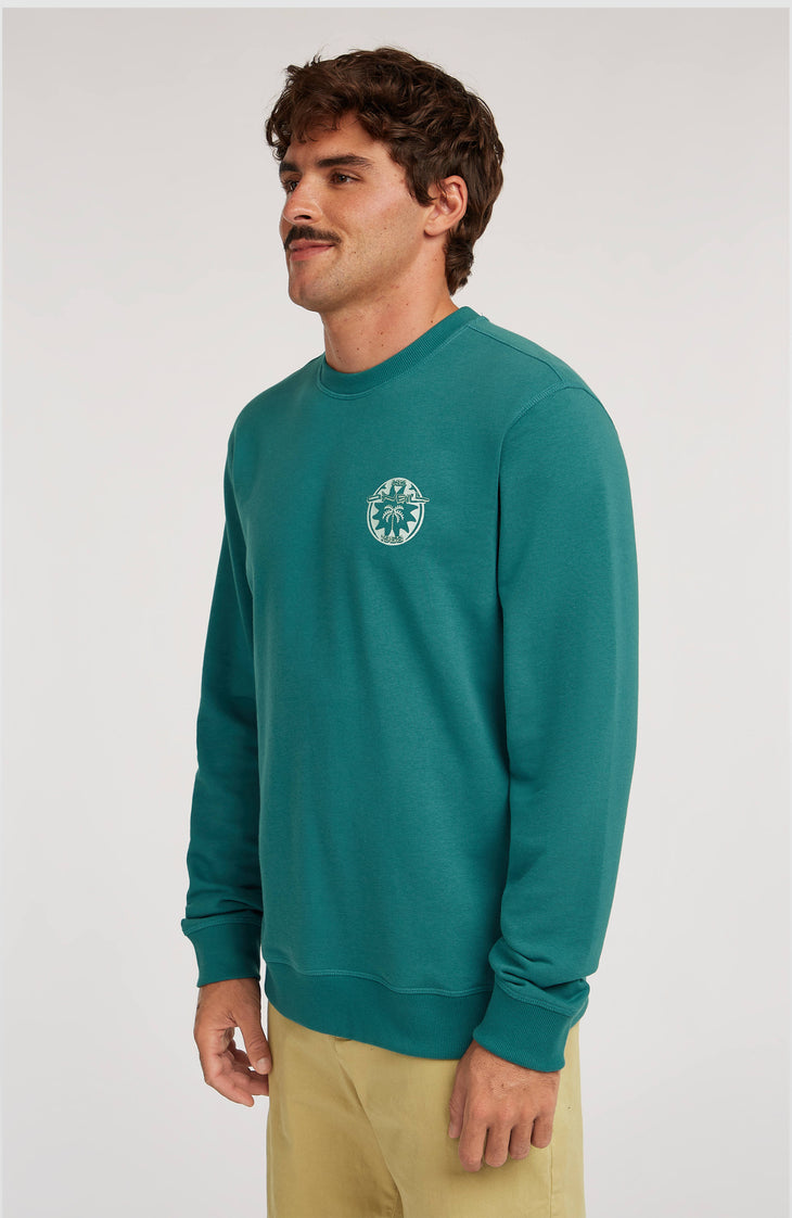 O'Neill Must-Have Graphic Crew Sweatshirt | Botanical Heat