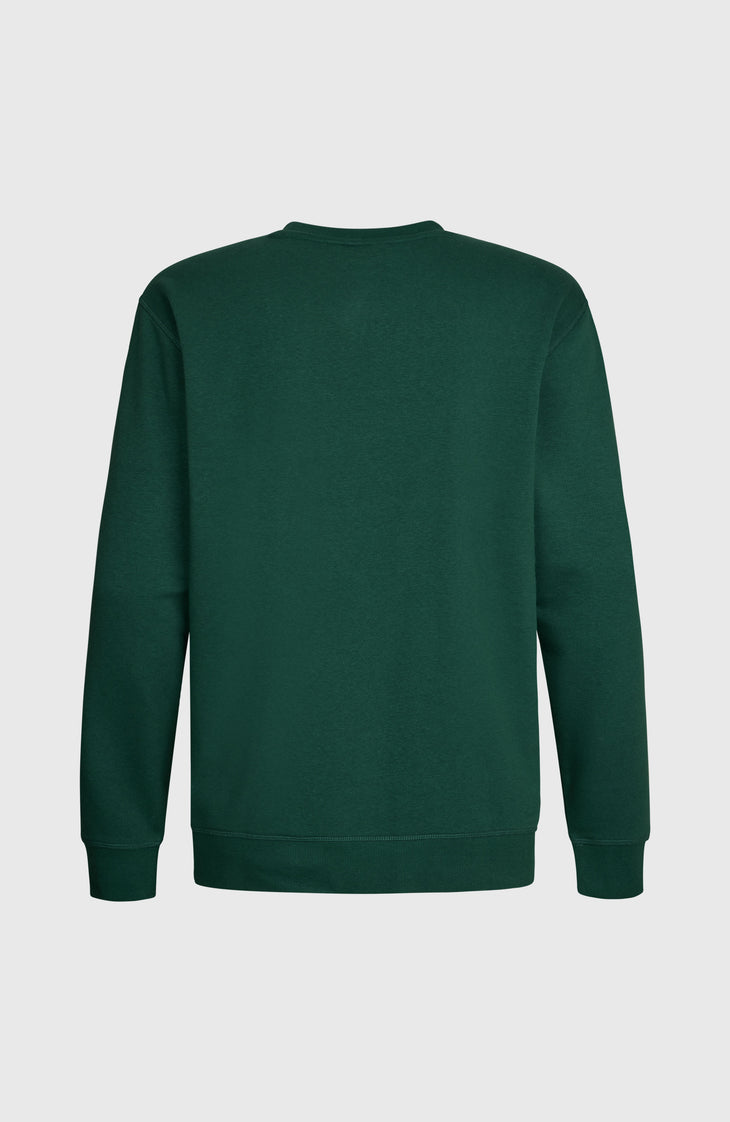 O'Neill Small Logo Crew Sweatshirt | Emerald Envy
