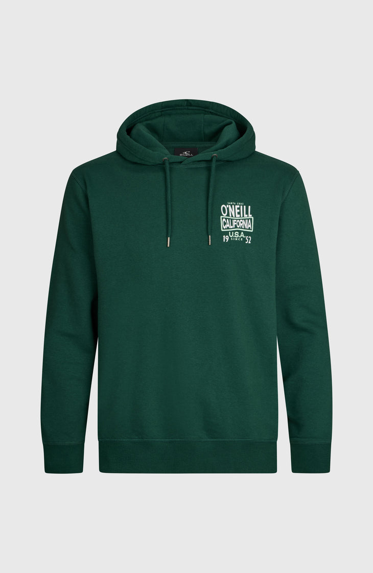O'Neill Small Logo Hoodie | Emerald Envy