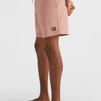 Camorro 17'' Boardshorts | Ash Rose