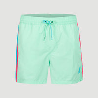 Vert Retro 14'' Swim Shorts | Beach Glass