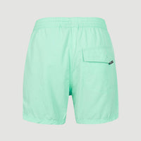 Vert Retro 14'' Swim Shorts | Beach Glass