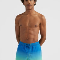 Cali Gradient 15'' Swim Shorts | Dark Blue Simple Gradient