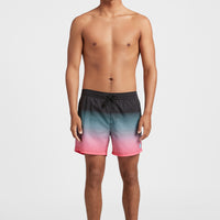 Cali Gradient 15'' Swim Shorts | Black Simple Gradient