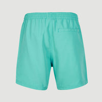 Cali State 15'' Swim Shorts | Sea Green