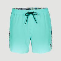 Coast Ocean 15'' Swim Shorts | Blue Topaz