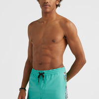 Coast Ocean 15'' Swim Shorts | Sea Green