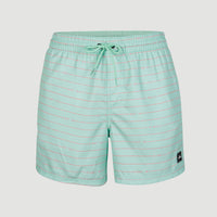 Cali First 15'' Swim Shorts | Light Blue First In