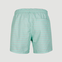 Cali First 15'' Swim Shorts | Light Blue First In