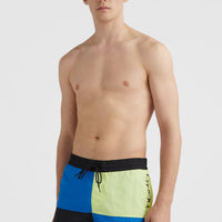 Wilder Colourblock 16'' Swim Shorts | Princess Blue Colour Block