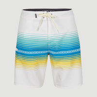 Heat Stripe Line 19'' Boardshorts | Birch