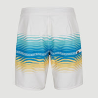 Heat Stripe Line 19'' Boardshorts | Birch