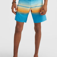 Heat Stripe Line 19'' Boardshorts | Princess Blue