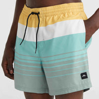 Mix and Match Cali Print 15'' Swim Shorts | Green Mix&Match Panel Print