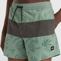 Mix and Match Cali Block 15'' Swim Shorts | Green Vintage Surfer