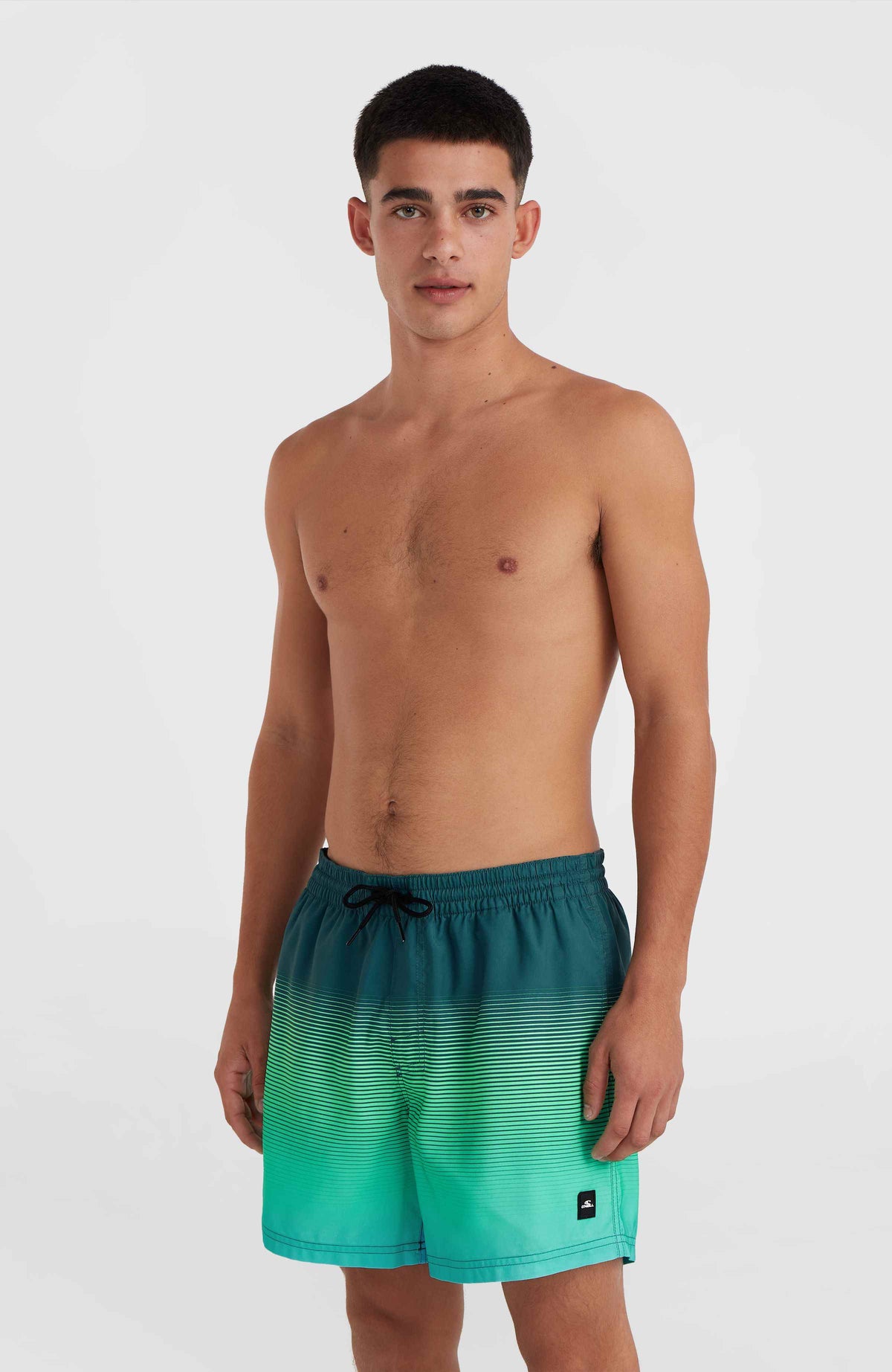 Jack O'Neill Cali Gradient 15'' Swim Shorts | Beetle Juice Simple Gradient Panel