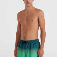 Jack O'Neill Cali Gradient 15'' Swim Shorts | Beetle Juice Simple Gradient Panel