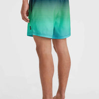 Jack O'Neill Cali Gradient 15'' Swim Shorts | Beetle Juice Simple Gradient Panel