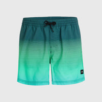 Jack O'Neill Cali Gradient 15'' Swim Shorts | Beetle Juice Simple Gradient Panel