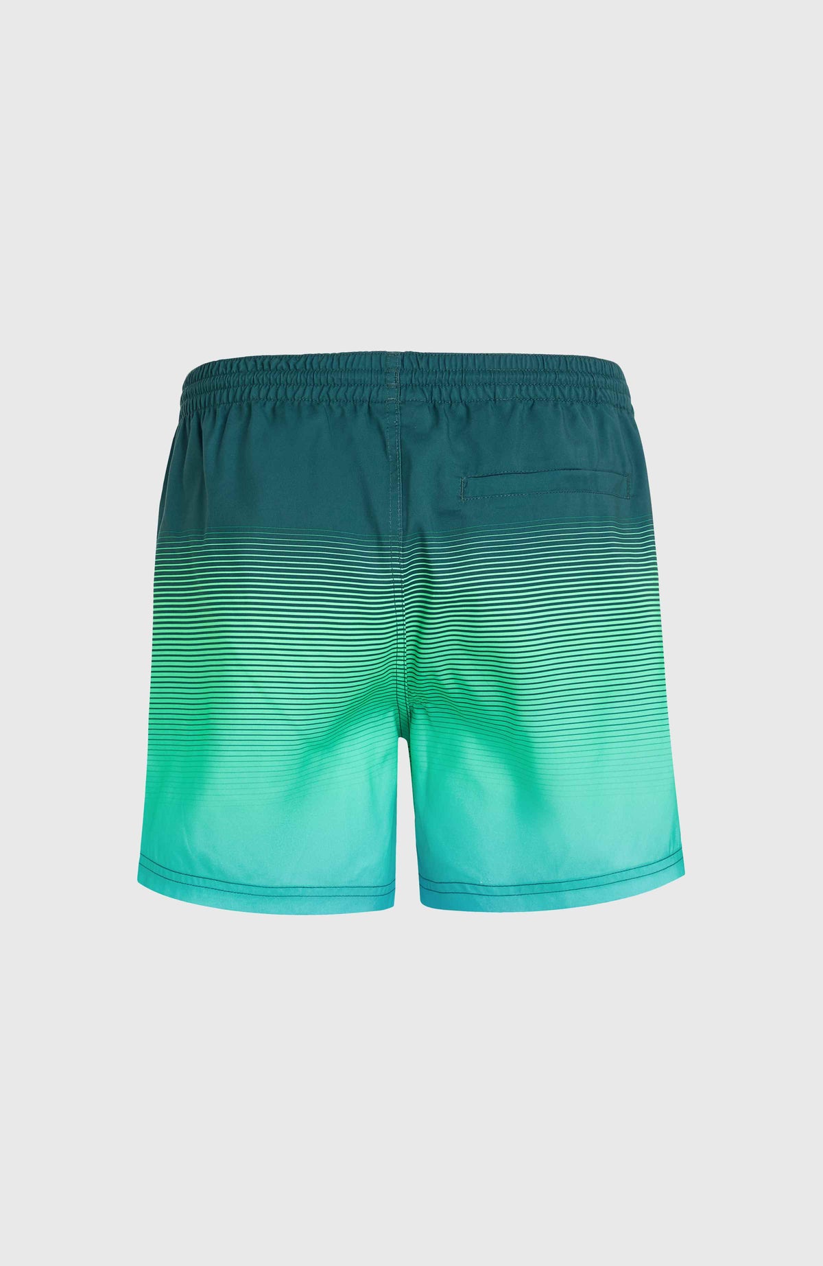Jack O'Neill Cali Gradient 15'' Swim Shorts | Beetle Juice Simple Gradient Panel