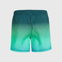 Jack O'Neill Cali Gradient 15'' Swim Shorts | Beetle Juice Simple Gradient Panel