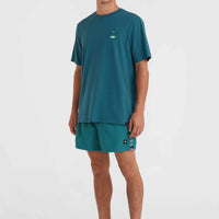 Jack O'Neill Vert 14'' Swim Shorts | Beetle Juice