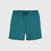 Jack O'Neill Vert 14'' Swim Shorts | Beetle Juice