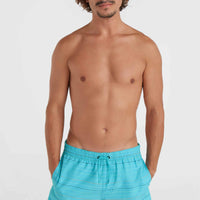 Jack O'Neill Cali First 15'' Swim Shorts | Blue First Name Stripe