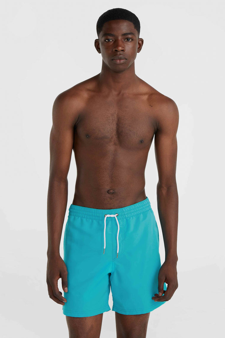 Vert 16'' Swim Shorts | Neon Blue
