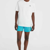 Vert 16'' Swim Shorts | Neon Blue