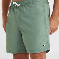 Vert 16'' Swim Shorts | Lily Pad