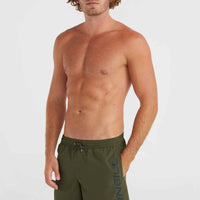 Cali 16'' Swim Shorts | Forest Night