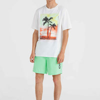 Cali 16'' Swim Shorts | Neon Green