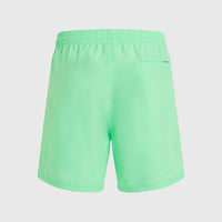 Cali 16'' Swim Shorts | Neon Green