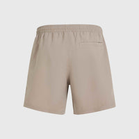 Cali 16'' Swim Shorts | Pumpkin Smoke