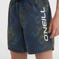 Cali 16'' Swim Shorts | Black IC Things Colour