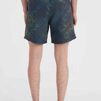 Cali 16'' Swim Shorts | Black IC Things Colour