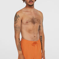 O'Riginals Cali Ocean 16'' Swim Shorts | Cinnamon Stick