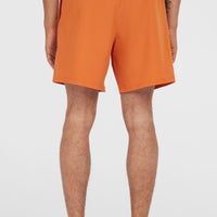 O'Riginals Cali Ocean 16'' Swim Shorts | Cinnamon Stick