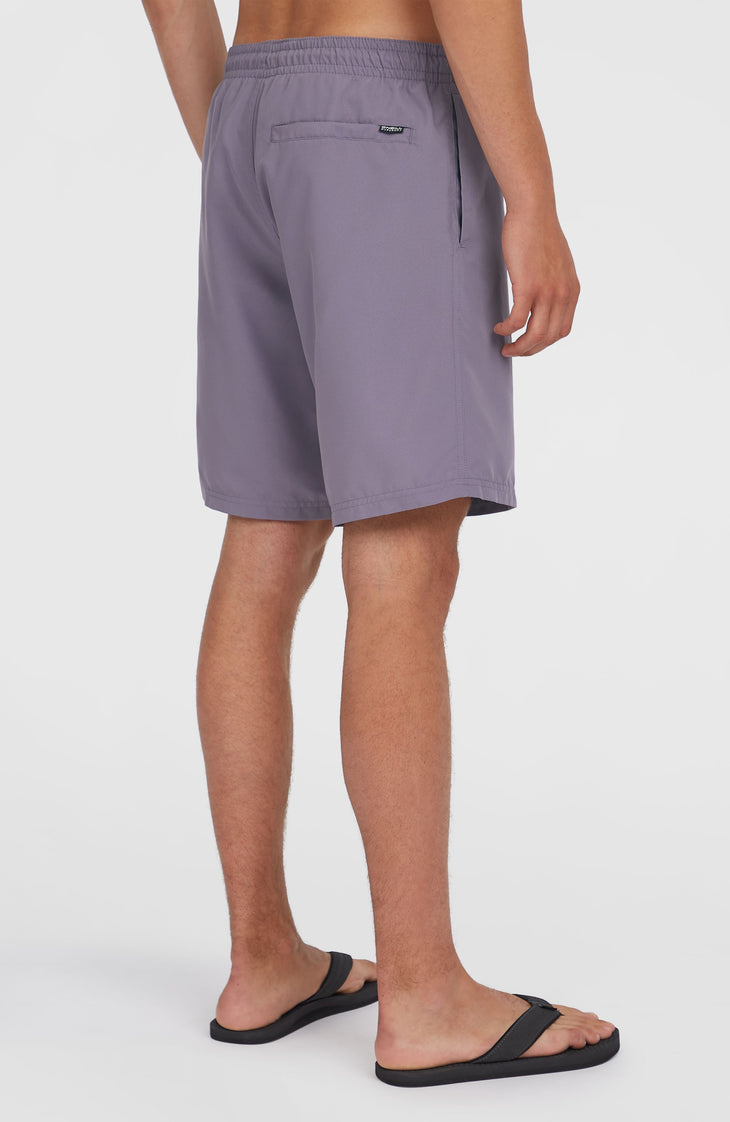 Retro 19'' Swim Shorts | Storm Colour Block