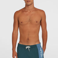 Retro 14'' Swim Shorts | Alma Steel Colour Block