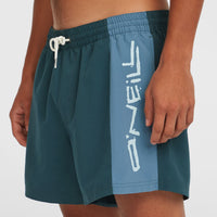 Retro 14'' Swim Shorts | Alma Steel Colour Block