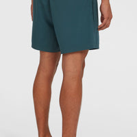 Retro 14'' Swim Shorts | Alma Steel Colour Block
