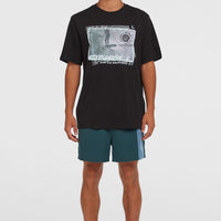 Retro 14'' Swim Shorts | Alma Steel Colour Block